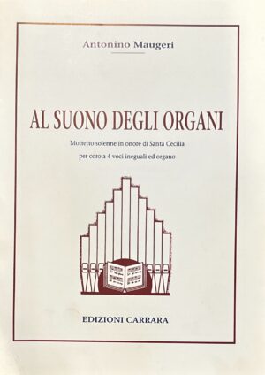AL SUONO DEGLI ORGANI